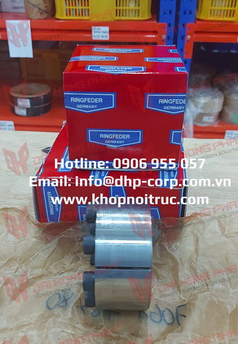 Khớp khóa trục Ringfeder RfN 7061 Đại Hồng Phát