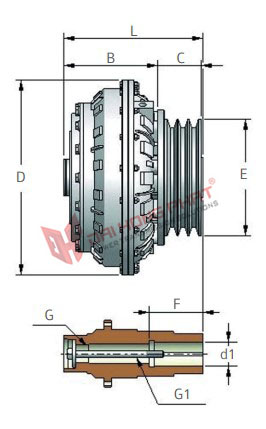 Khớp nối thủy lực Henfel HCP