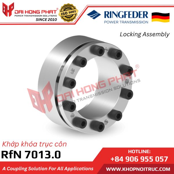 KHỚP KHÓA TRỤC RINGFEDER RFN 7013.0