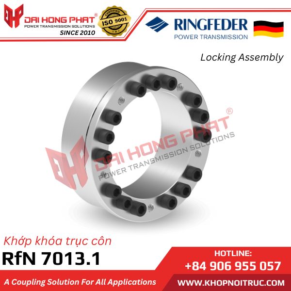 KHỚP KHÓA TRỤC RINGFEDER RFN 7013.1