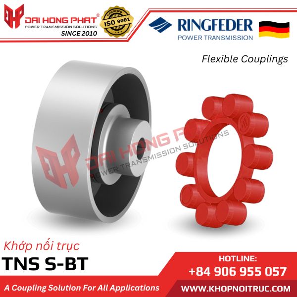 RINGFEDER TNS S-BT (WITH BRAKE DRUM)