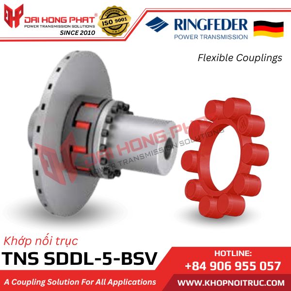 KHỚP NỐI TRỤC RINGFEDER TNS SDDL-5-BSV