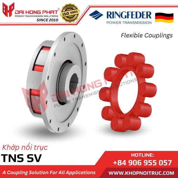 RINGFEDER TNS SV (WITH INTERNAL HUB)