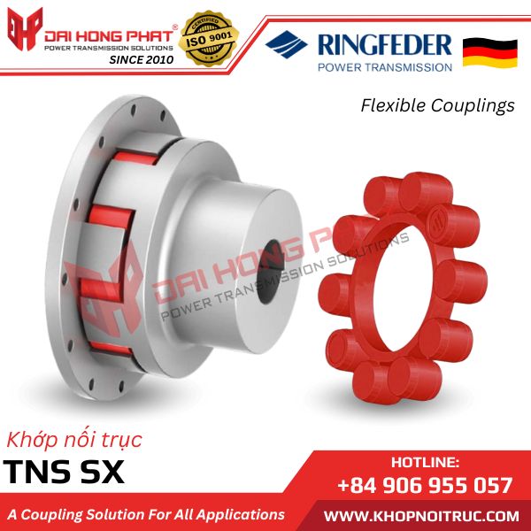 KHỚP NỐI TRỤC RINGFEDER TNS SX (SHORT HUB)