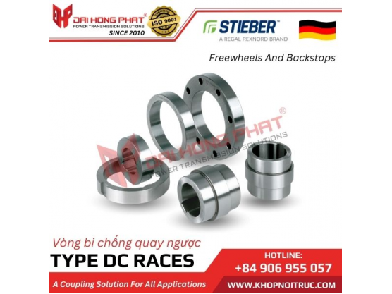 Bạc đạn ly hợp một chiều Stieber DC Races