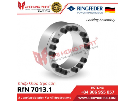 KHỚP KHÓA TRỤC RINGFEDER RFN 7013.1