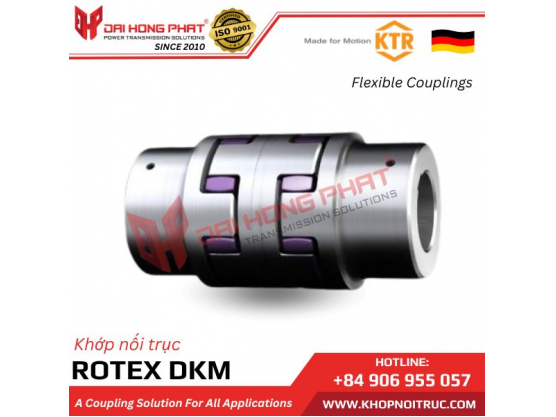 KHỚP NỐI TRỤC KTR ROTEX DKM