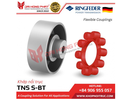 Ringfeder TNS S-BT (WITH BRAKE DRUM)